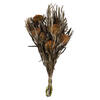 Photograph of 12" Autumn Banksia Foliage Flower 4oz