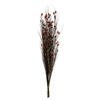 Photograph of 36-40" Bell Grass w/Red Pod Bundle