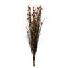 Photograph of 36-40" Bell Grass w/Aspen Gold Pod