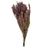 Photograph of 18-20" Pink Heather (Erica) 4-5oz Bunch