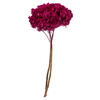 Photograph of 15" Merlot Hydrangea Stem
