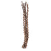Photograph of 32-36" Natural Ladder Branches - 7/Pk
