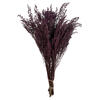 Photograph of 14-18" Violet Stoebe Bundle