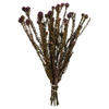 Photograph of 12" Violet Tortum Bundle