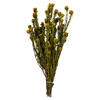 Photograph of 12" Yellow Tortum Bundle