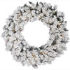 Photograph of 30" Flkd Snow Ridge Wreath Dura-Lit 50CL