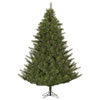 Photograph of 9' x 78" Modesto Mixed Pine 1050WW LED