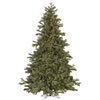 Photograph of 9' x 74" Frasier Fir 1200 Dura-Lit Clear