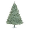 Photograph of 10' x 82'' Colorado Blue Spruce 5406Tips