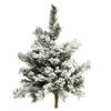 Photograph of 36" Flocked Alaskan Door Swag 85 Tips