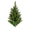Photograph of 2' Camdon Fir Wall Tree 57T