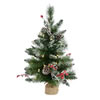 Photograph of 2'x16" Snow Tip /Berry Dural LED 35WmWht