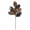 Photograph of 21.5" Magnolia Lvs Spray