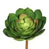 Photograph of 8" Cactus-Green 3/Bag