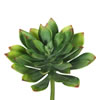 Photograph of 10" Cactus-Green 3/Bag