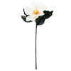 Photograph of 33" Cream Single Magnolia