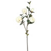 Photograph of 38" Cream Magnolia 3/pk