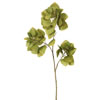 Photograph of 36"Single Leaves Spray-Autumn Green