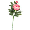 Photograph of 24" Peony Pink W/2 Blooms (Pk/3)