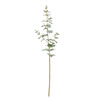 Photograph of 27" Green Eucalyptus Spray 3/Pk