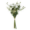 Photograph of 17" Cream Mini Ranculus Spray
