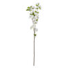 Photograph of 34" Cream Cherry Blossom Spray 3/pk