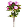 Photograph of 23'' Peony Bush W/6 Flwrs 3 Buds -Cerise
