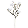 Photograph of 42'' White Magnolia Spray
