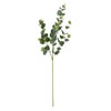 Photograph of 37" Green Eucalyptus Spray 4/Pk