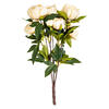 Photograph of 23" Beige Peony Bush W/6 Flwrs 3 Buds