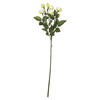 Photograph of 20.5" White Tea Rose Spray 3/pk