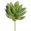 Photograph of 4.5" Jade Pick Pk/6