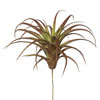 Photograph of 6.5" Tillandsia Pick (PK/3)