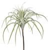 Photograph of 20.5" Tillandsia Pick