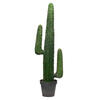 Photograph of 49" Cactus in Gray/Lt Red Pot