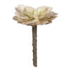 Photograph of 5" Green Succulent Pick Pk/4