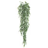 Photograph of 32" Hanging Mini Eucalyptus Bush Pk/2