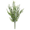 Photograph of 18" Mini Jade Leaf Bush UV Coated 3/Pk