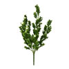 Photograph of 19" White Small Rambling Bush UV