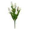 Photograph of 16" White Blazing Star Bush UV
