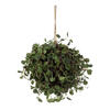Photograph of 6" Angel Vine Ball