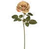 Photograph of 25" Open Rose Stem-Brown (PK/6)