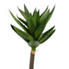Photograph of 14" Green Succulent Stem 2/Pk