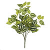 Photograph of 12.5 " Light Green Inch Plant Bush 3/Pk