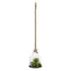 Photograph of 10" Green Asst Succulents in Glass Jar
