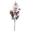 Photograph of 36" Burgundy Money Leaf Spray Pk/3