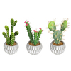 Photograph of 10" Green Potted Cactus (Set/3 Asst)