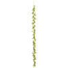 Photograph of 6' Green Boxwood Modern Garland