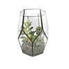 Photograph of 10" Green Succulents in Glass Terrarium