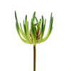 Photograph of 6.75" Green Jade Pick (3/Pk)